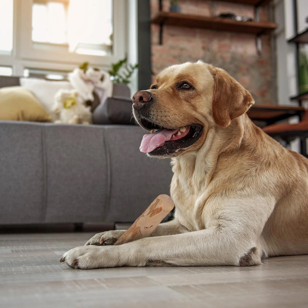 100% Natural Coffee Wood Dog Chew